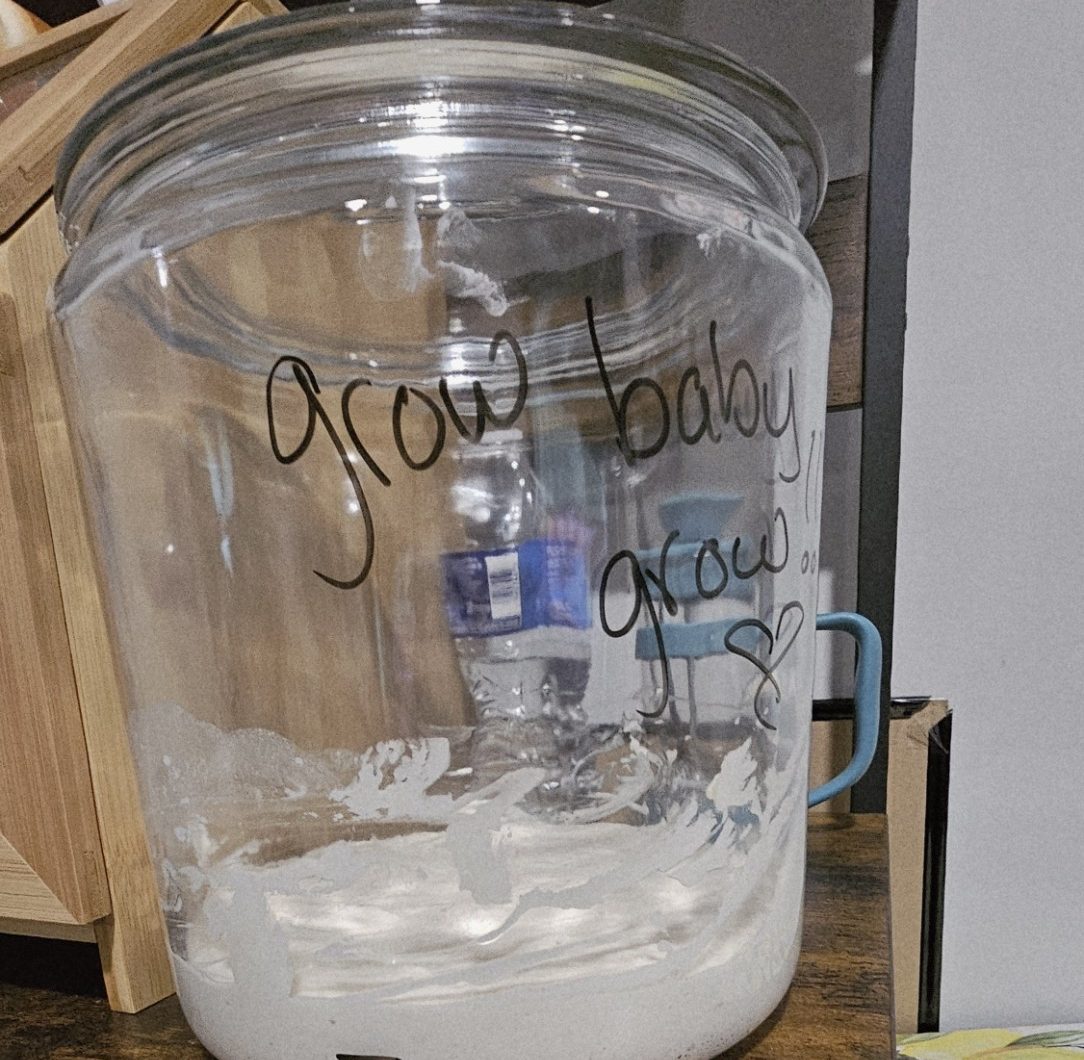 No-Waste Sourdough Starter